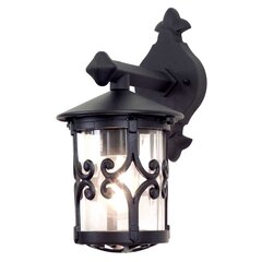 Уличный настенный светильник Elstead Lighting Hereford BL8-BLACK цена и информация | Уличное освещение | kaup24.ee