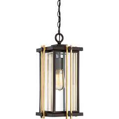 Уличный подвесной светильник Elstead Lighting Goldenrod QZ-GOLDENROD8-M цена и информация | Уличное освещение | kaup24.ee