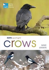 RSPB Spotlight Crows hind ja info | Tervislik eluviis ja toitumine | kaup24.ee