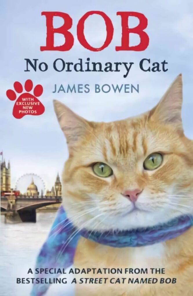 Bob: No Ordinary Cat Children's ed hind ja info | Noortekirjandus | kaup24.ee