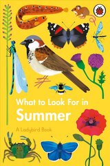 What to Look For in Summer цена и информация | Книги для подростков и молодежи | kaup24.ee