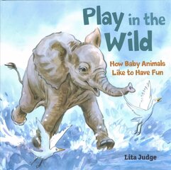 Play in the Wild: How Baby Animals Like to Have Fun цена и информация | Книги для подростков и молодежи | kaup24.ee