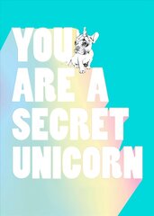 You Are a Secret Unicorn цена и информация | Книги для подростков и молодежи | kaup24.ee