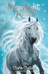 Moonlight Riders: Storm Stallion: Book 2 цена и информация | Книги для подростков и молодежи | kaup24.ee