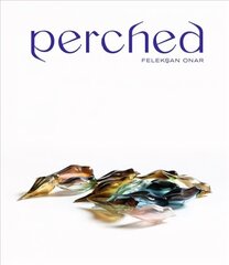 Perched: FeleksAn Onar цена и информация | Книги об искусстве | kaup24.ee