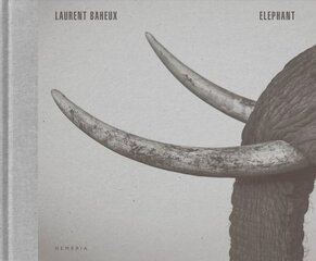 Elephant цена и информация | Книги по фотографии | kaup24.ee