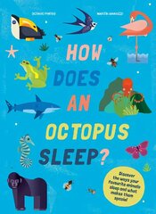 How Does An Octopus Sleep?: Discover the ways your favourite animals sleep and what makes them special цена и информация | Книги для малышей | kaup24.ee
