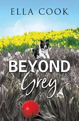 Beyond Grey hind ja info | Romaanid | kaup24.ee