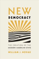 New Democracy: The Creation of the Modern American State цена и информация | Исторические книги | kaup24.ee