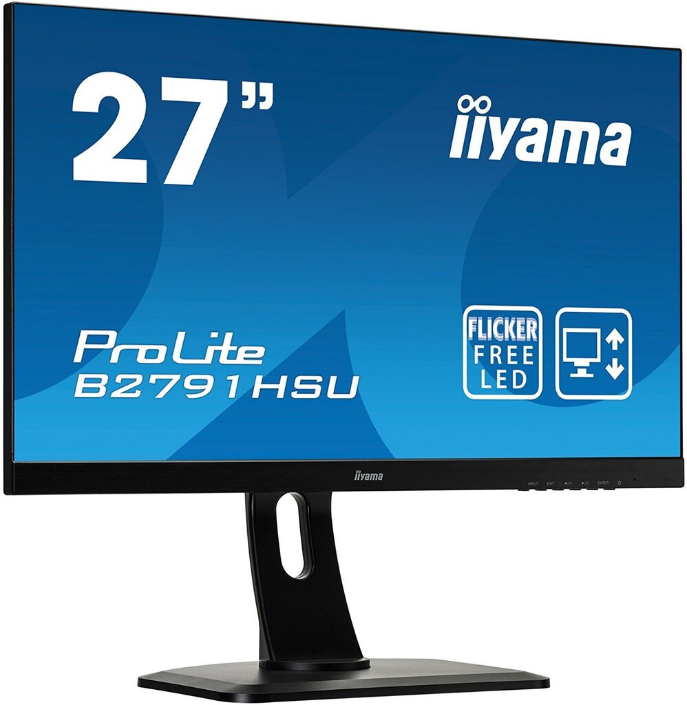 Iiyama ProLite B2791HSU-B1 hind ja info | Monitorid | kaup24.ee