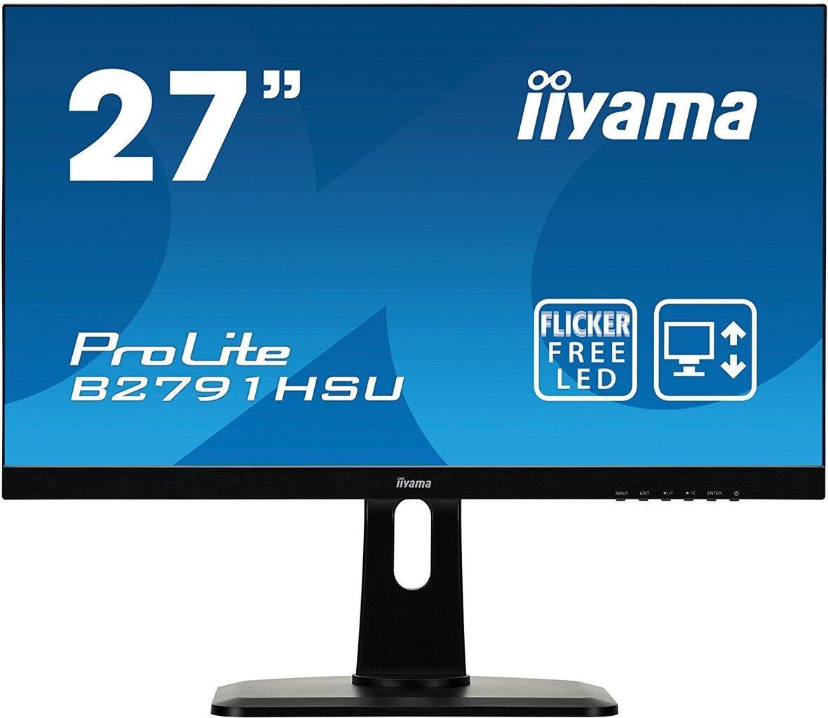 Iiyama ProLite B2791HSU-B1 hind ja info | Monitorid | kaup24.ee