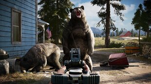 Far Cry 5 (ENG, PL), PS4 hind ja info | Arvutimängud, konsoolimängud | kaup24.ee