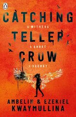 Catching Teller Crow hind ja info | Noortekirjandus | kaup24.ee