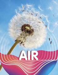 Air цена и информация | Книги для подростков и молодежи | kaup24.ee