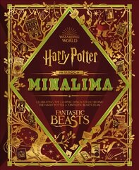 Magic of MinaLima цена и информация | Книги об искусстве | kaup24.ee