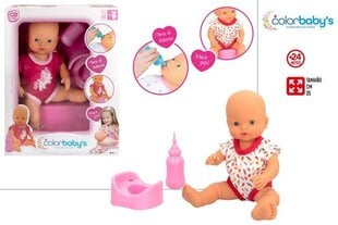 Beebinukk koos potiga Colorbaby's, 2+ hind ja info | Tüdrukute mänguasjad | kaup24.ee