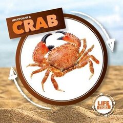 Crab hind ja info | Noortekirjandus | kaup24.ee