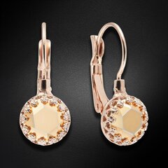 Naiste kõrvarõngad Diamond Sky „Vintage (Aurum)" koos Preciosa kristallidega DS02A453 hind ja info | Kõrvarõngad | kaup24.ee