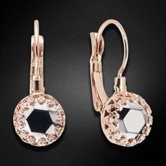 Naiste kõrvarõngad Diamond Sky „Vintage (Labrador)" koos Preciosa kristallidega DS02A454 hind ja info | Kõrvarõngad | kaup24.ee