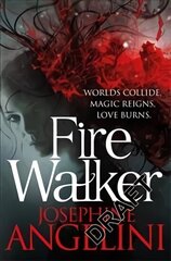 Firewalker Unabridged edition цена и информация | Книги для подростков и молодежи | kaup24.ee