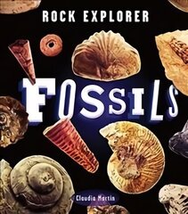 Rock Explorer: Fossils цена и информация | Книги для подростков и молодежи | kaup24.ee