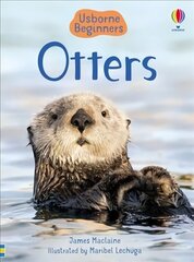 Otters hind ja info | Noortekirjandus | kaup24.ee