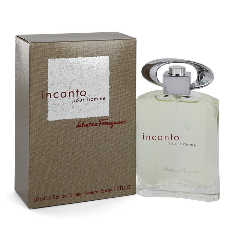 Tualettvesi Salvatore Ferragamo Incanto EDT meestele, 50ml hind ja info | Meeste parfüümid | kaup24.ee