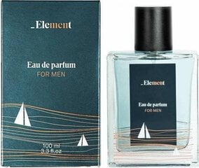 Parfüümvesi Element EDP meestele, 100 ml hind ja info | Meeste parfüümid | kaup24.ee