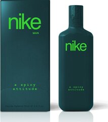 Tualettvesi Nike A Spicy Attitude EDT, 75 ml hind ja info | Meeste parfüümid | kaup24.ee