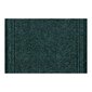 Uksematt MALAGA roheline 6059 žalia 66x600 cm цена и информация | Uksematid | kaup24.ee