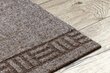 Uksematt PRIMAVERA beež 1153 smėlio spalvos 66x110 cm hind ja info | Uksematid | kaup24.ee