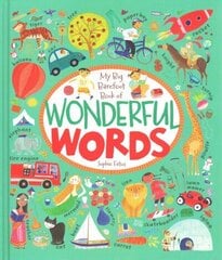 Big Barefoot Book of Wonderful Words hind ja info | Väikelaste raamatud | kaup24.ee
