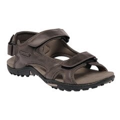 Meeste sandaalid Regatta Haris sandaalid 5051513258506 hind ja info | Meeste plätud, sussid | kaup24.ee