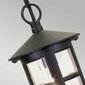 Rippvalgusti Elstead Lighting Hereford BL21B-BLACK цена и информация | Rippvalgustid | kaup24.ee