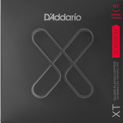 Keeled klassikalisele kitarrile D'Addario Nylon Silver Plated Cooper XTC45 hind ja info | Muusikariistade tarvikud | kaup24.ee