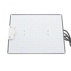 Taimekasvatuslamp OSRAM LED Quantum Board 100w täisspekter 30x24x5cm, 220v hind ja info | Aia- ja õuevalgustid | kaup24.ee