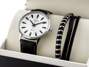 Мужские часы Pacific - подарочный набор zy093a цена и информация | Мужские часы | kaup24.ee