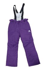 Зимние штаны для девочек. Фиолетовый цена и информация | Зимняя одежда для детей | kaup24.ee