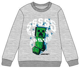 Poiste pusa Minecraft цена и информация | Свитеры, жилетки, пиджаки для мальчиков | kaup24.ee