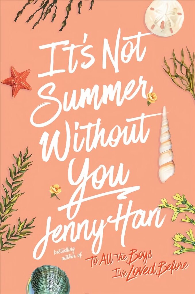 It's Not Summer Without You Reprint ed. цена и информация | Noortekirjandus | kaup24.ee