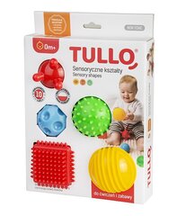 Для развития детской сенсорной системы Tullo, 5 шт., 458 цена и информация | Игрушки для малышей | kaup24.ee