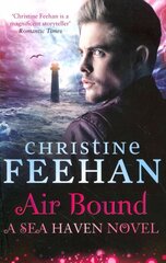 Air Bound цена и информация | Фантастика, фэнтези | kaup24.ee