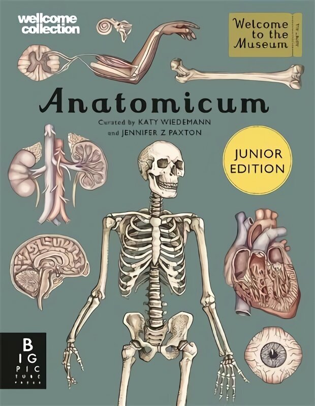 Anatomicum Junior цена и информация | Noortekirjandus | kaup24.ee