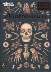 Anatomicum цена и информация | Книги для подростков и молодежи | kaup24.ee