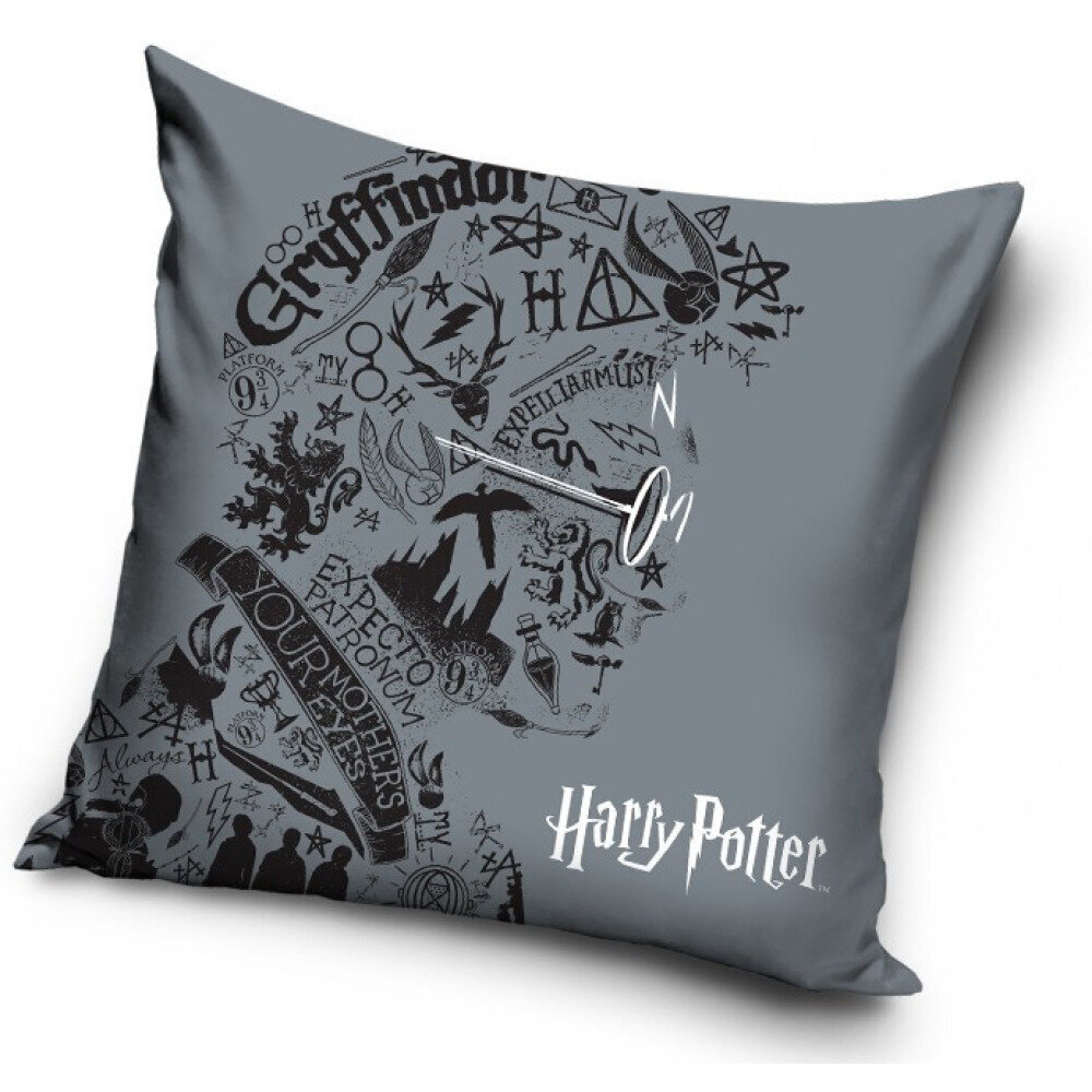 Dekoratiivne padi Harry Potter, 40 x 40 cm hind ja info | Dekoratiivpadjad ja padjakatted | kaup24.ee