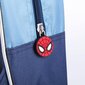 Koolikott Spiderman Sinine (25 x 31 x 10 cm) hind ja info | Koolikotid, sussikotid | kaup24.ee