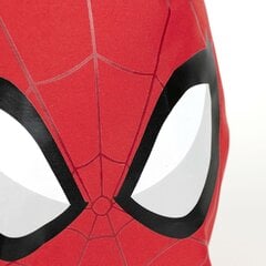 Laste kott Spiderman Punane (9 x 20 x 25 cm) цена и информация | Школьные рюкзаки, спортивные сумки | kaup24.ee