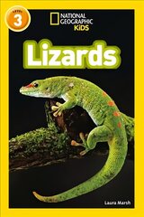 Lizards: Level 3 цена и информация | Книги для подростков и молодежи | kaup24.ee