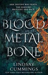 Blood Metal Bone цена и информация | Фантастика, фэнтези | kaup24.ee