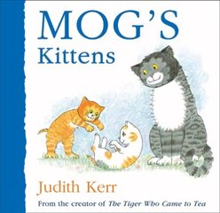 Mog's Kittens цена и информация | Книги для малышей | kaup24.ee